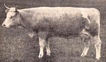 1947 r. 1850 r. *Fot. T.