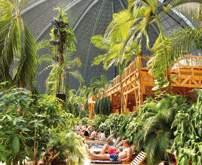 Tradycja Wiedeńskiego Jarmarku Bożonarodzeniowego liczy już sobie ponad siedem wieków. BERLIN TROPICAL ISLAND cena od 179 zł PROGRAM bez noclegu: Dzień 1 - Wyjazd wg rozkładu jazdy.