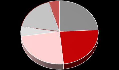Zarządu Ekonomia, Finanse, Strategia i rozwój Adam Kidała 4 132 353 21,18% 6 257 353 24,17% Jacek Rożek 4 132 353 21,18% 6 257 353 24,17% ADAM KIDAŁA Wiceprezes Zarządu