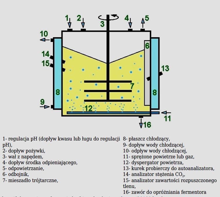 Moduły składowe bioreaktora okresowego z mieszaniem mechanicznym i płaszczem do chłodzenia / ogrzewania Bioreaktor
