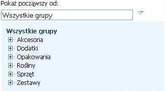 2.3.2 Widok klienta Nowy plugin dostarcza przeglądanie grup towarowych, dla których zostały zdefiniowane elementy graficzne. Dzięki temu dana grupa towarowa jest zobrazowana graficznie. 2.