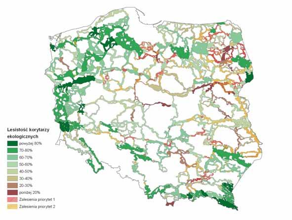 2.4 Idea projektu LESISTOŚĆ KORYTARZY