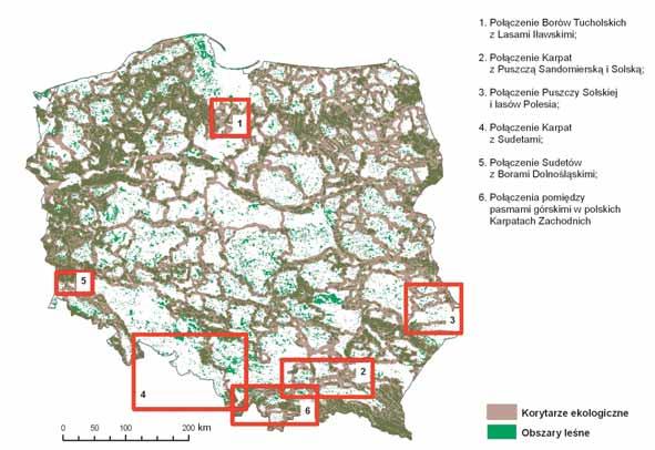 6.4 Dalsze Działania et al.