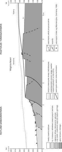 Ryc. 3.