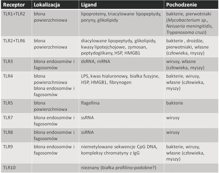 Nagroda Nobla 2011: dwa rodzaje odporności 541 od patogenów, lecz także endogenne ligandy powstające w komórkach gospodarza w stanie zagrożenia wywołanego infekcją, stresem lub w wyniku starzenia