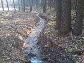 62 Kanał ziemny łączący 2 zbiorniki (N-ctwo Świdnica) Efekty w środowisku Naturalny charakter rowu/kanału dobrze komponuje się z otoczeniem, a naturalna zabudowa biologiczna stwarza wielu organizmom