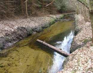 99 wspomagania naturalnych procesów przez bardzo tanie metody tj.
