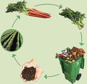 Kompostowanie Kompostowanie (organiczny recykling) naturalna metoda, polegająca na rozkładzie substancji organicznej przez mikroorganizmy bakterie tlenowe, nicienie, etc.