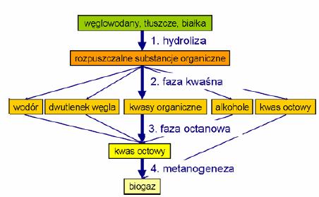 Fermentacja metanowa jak przebiega?