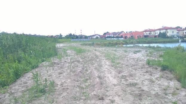 Zmiany układu hydrograficznego: rowy oraz zbiorniki wodne są zasypywane.