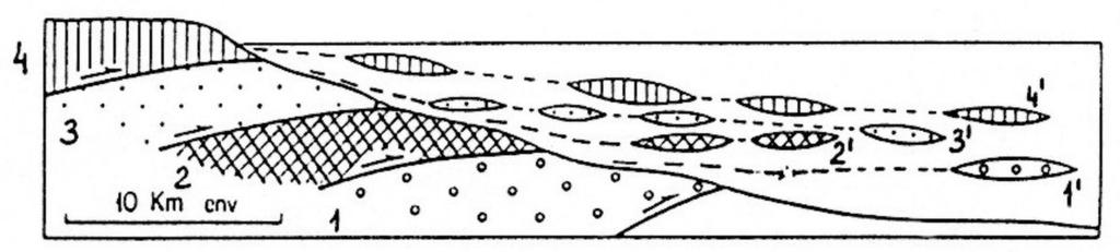 OLISTOLITY i OLISTOSTROMY W poniższym przykładzie z miocenu Sycylii olistolity osuwały się z krawędzi basenu morskiego, którą sukcesywnie budowały płaszczowiny.