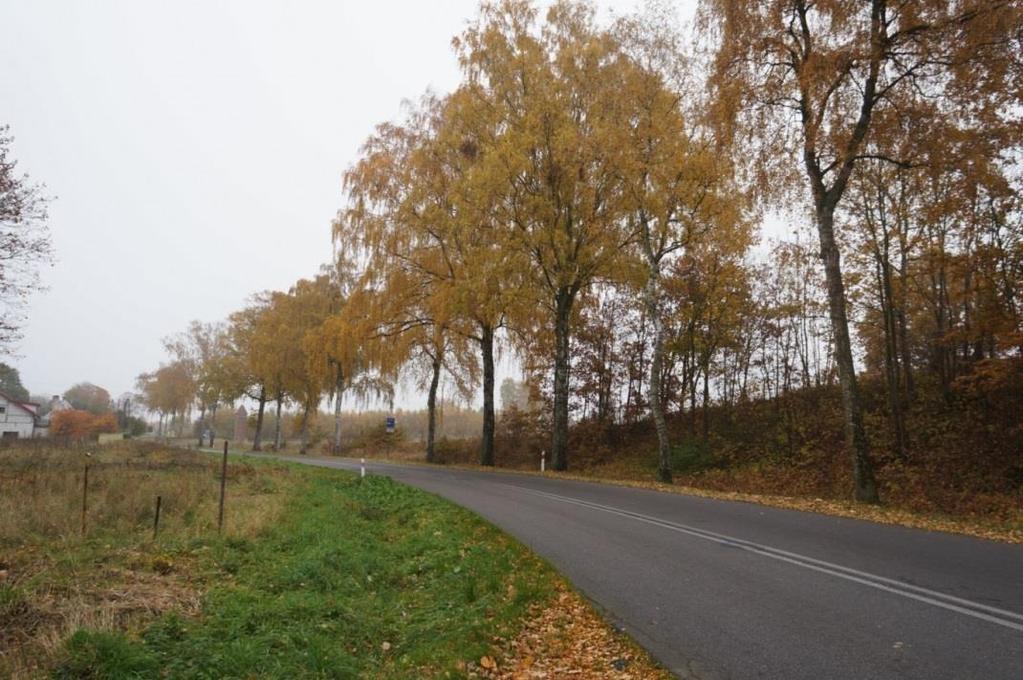 10. Przebudowa DW nr 102 na odcinku Lędzin Zapolice Trzebiatów Nawierzchnia drogowa na tym