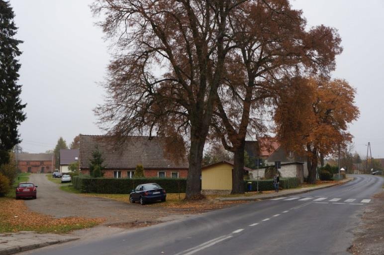 14. Przebudowa drogi wojewódzkiej nr 109 na odcinku Trzebiatów - Płoty Odcinek szlakowy przewidziany do przebudowy ma 24,8 km długości.