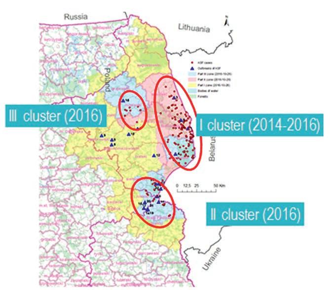 najdalszy przypadek ASF (przypadek 123) zlokalizowany był 76 km od granicy wschodniej z Republiką Białorusi.