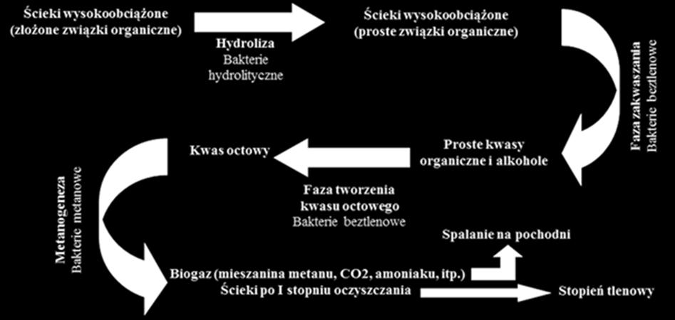 oczyszczania ścieków