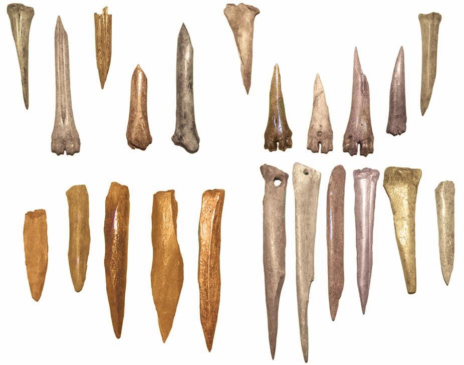 s tudia archeozoologiczne... 3 Ryc. 24. Tum, st. grodzisko i kępa przygrodowa: a) narzędzia typu kolec; (od lewej) owca k. śródręcza (kępa, faza II, nr inw. 259/20), sarna k.