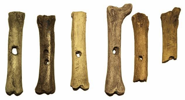 s tudia archeozoologiczne... 33 Ryc. 27. Tum, st. grodzisko i kępa przygrodowa. Hetki wykonane z kości świni: a) k. śródstopia IV, majdan SW (faza II, nr inw. 043/200), b) k.