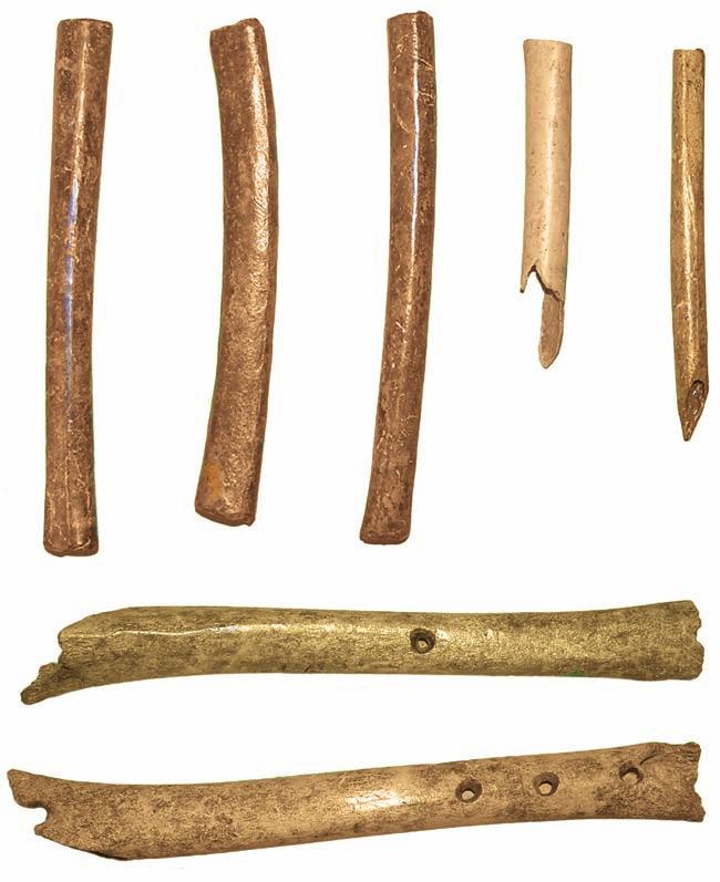 34 Daniel Makowiecki Ryc. 29. Tum, st. grodzisko. Przedmioty elitarne a d) piszczałki: a) głuszec tibiotarsus (brama/ majdan, faza III, nr inw. 385/200), b) głuszec ulna (majdan SW, faza II, nr inw.