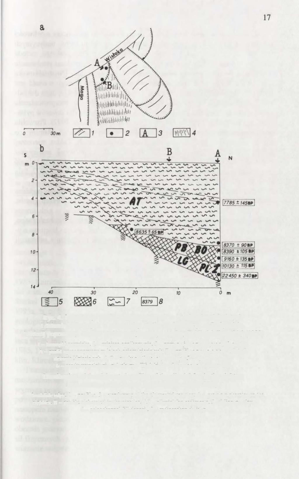 Rye. 4. Lokalizacja profili opracowywanych w latach osiemdziesiątych i dziewięćdziesiątych w pobocznicy stożka napływowego w Podgrodziu. Przekrój poprzeczny osadów stożka napływowego według E.
