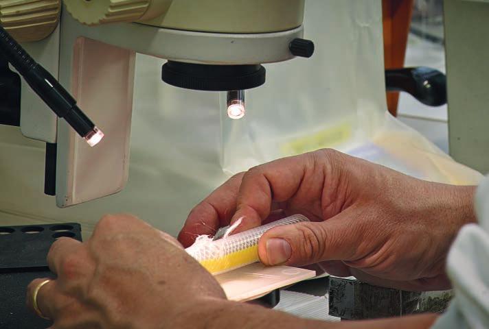 Badania Badania i eksperymenty Research Laboratory and research W laboratorium Merlett przeprowadzamy badania nad gwarantowanym okresem użyteczności naszych produktów oraz eksperymenty dotyczące ich