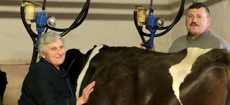STADO URSZULI I EUGENIUSZA MAJEWSKICH KOŁOZĄB, POMORSKIE, ODDZIAŁ W GDAŃSKU WYDAJNOŚĆ 14 660 kg MIEJSCE 2 Na wynik stada składa się wydajność zwierząt utrzymywanych w oborach: EUGENIUSZ MAJEWSKI