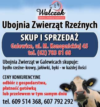 angielskiego od szko- ³y podstawowej do matury oraz osoby doros³e. Tel. 601 565 929 Korepetycje z j. niemieckiego. Tel. 500 794 781 Sprzedam ³añcuch podajnika zbo owego do kombajnu Class. Tel. 513 973 287 Korepetycje z j.