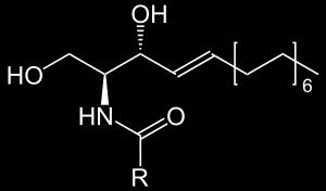 Sfingolipidy Grupa fosforanowa Sfingozyna +