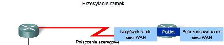 Warstwa Łącza danych dostęp do mediów Opisz rolę