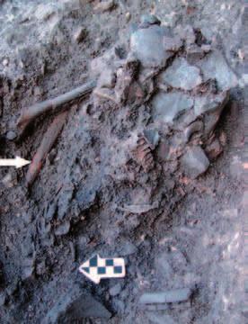 36 Agnieszka Gil-Drozd Fig. 3. Vlasac, Serbia. A pile of cranial fragments of a juvenile (H60) and an adult (H63).