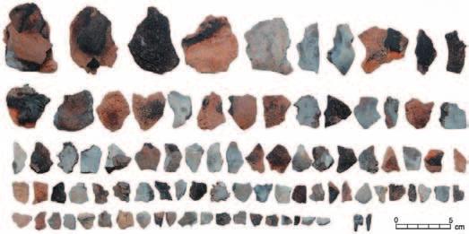 38 Agnieszka Gil-Drozd Fig. 5. Vlasac, Serbia. Burned cranial fragments from cremation pit burial 35 (after Borić et al. 2009, fig. 23) Ryc. 5. Vlasac, Serbia. Przepalone fragmenty kości czaszkowych z pochówków ciałopalnego jamowego 35 (wg Borić et al.