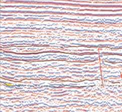 T0160787 Depth converted seismic reflection