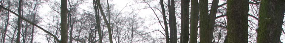 5.