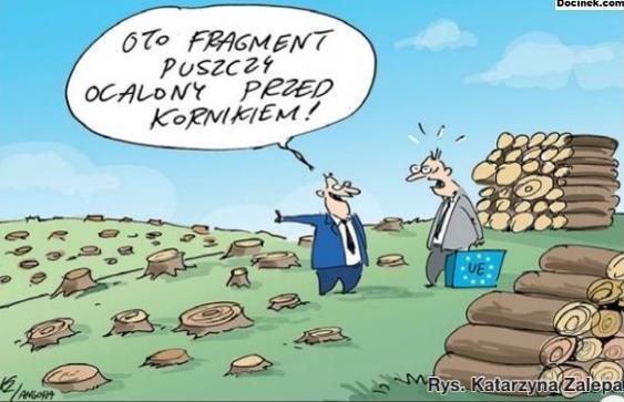 Zaoferowałem rządowi polskiemu dialog w sprawie uzgodnienia zmian w sposobie gospodarowania w Puszczy