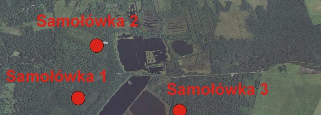 badań. Ryc.