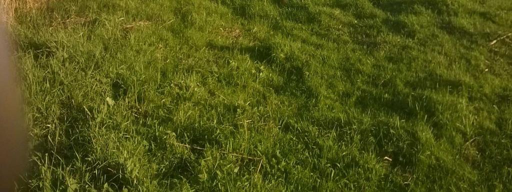 transformacji krajobrazu zgodnie z sukcesją wtórną.