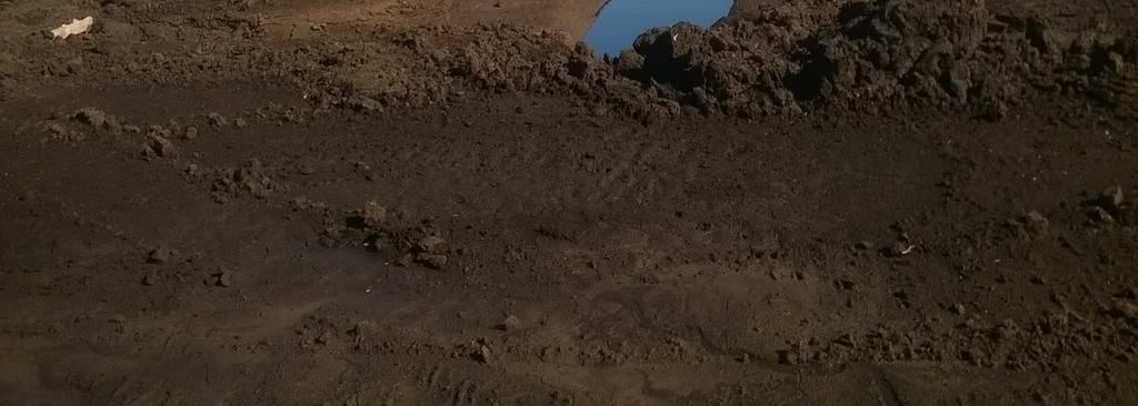 znajdujących się w północno-wschodniej części terenu oraz wzdłuż rzeki Łeby.