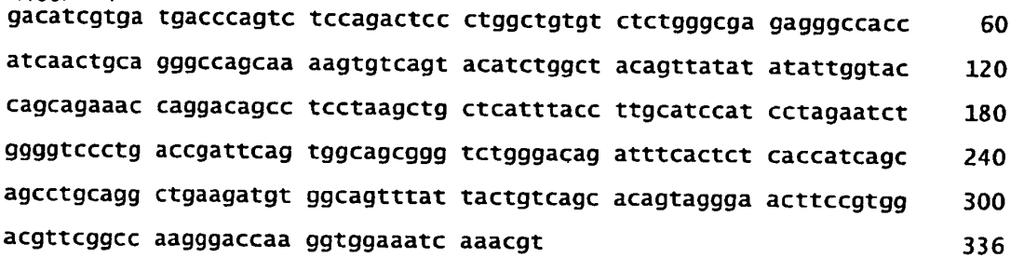 2 <2> 4 <211> 336 <212> DNA <213> Sekwencja sztuczna <2> <223> Domena V łańcucha K humanizowanego przeciwciała