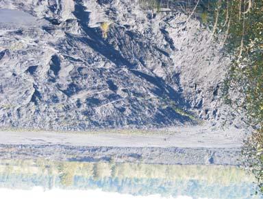 13 Ankiety skierowano równie do firm dzia³aj¹cych w obrêbie tematyki górniczej, takich jak: Haldex SA, CTL Maczki