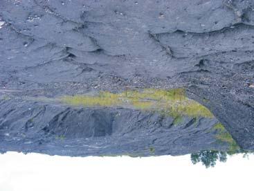 View of inventoried coal slurry deposits W celu wizualizacji zidentyfikowanych