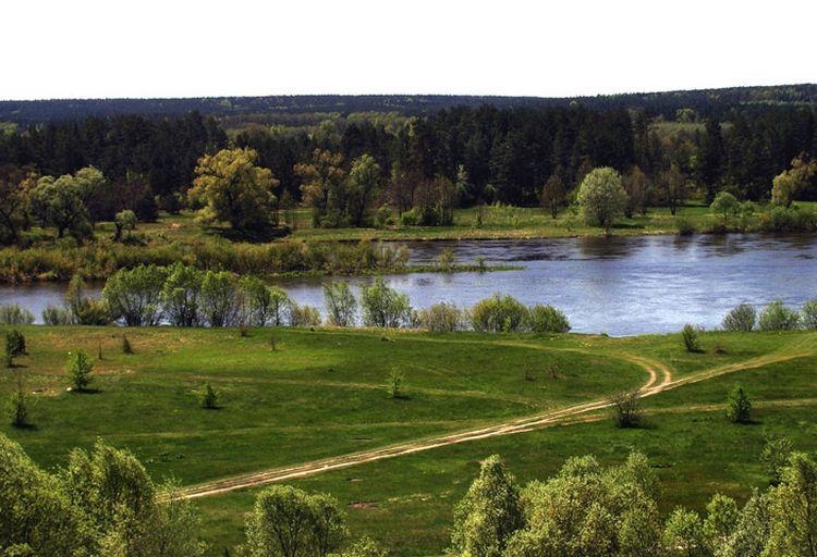 Mielnik - wieś w Polsce położona na Wysoczyźnie Drohiczyńskiej, w województwie podlaskim, w powiecie siemiatyckim, w gminie Mielnik. Miejscowość leży nad Bugiem.