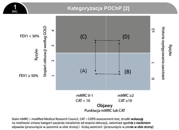 (GOLD 1) lub umiarkowana (GOLD 2), ale większa duszność w teście mmrc lub większa liczba punktów w teście CAT (>10) Grupa C charakteryzuje się dużym ryzykiem zaostrzeń ( 2/rok) i mniejsza liczbą