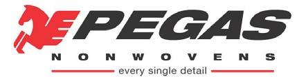 Raport dotyczący stosowania zasad ładu korporacyjnego GPW przez PEGAS NONWOVENS SA (Spółka) w roku obrotowym zakończonym 31 grudnia 2012 r.