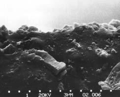 Opór tarcia uszczelnienia i jego związek z materiałem wargi oraz z warunkami jej styku z wałem 101 łym, jak na wał o chropowatości powierzchni R a = 0,63 µm, rozstępie położenia obszaru styku RPOS =