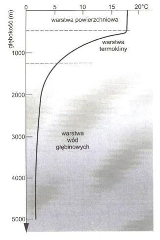 Pionowy rozkład temperatury wody w oceanie Temperatura wody jest kolejnym istotnym parametrem hydrologicznym pozwalającym na dokonanie strukturalnego podziału wód oceanicznych.