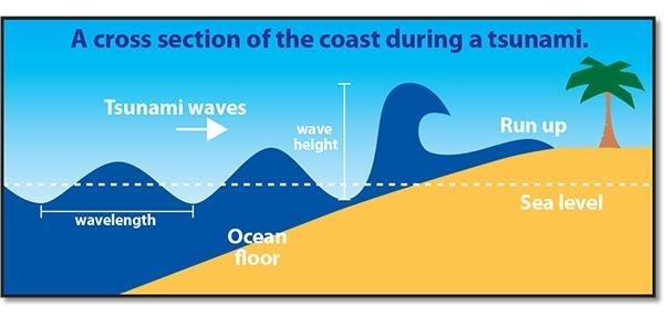 Fale sejsmiczne (tsunami) Swobodne fale sejsmiczne są falami długimi o długości średnio od 100 do 200 km, poruszającymi się z dużą prędkością.