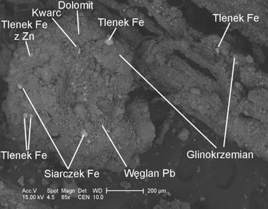 Rys. 2 Gleba industrialna z rejonu wydobycia rud galmanowych. Strzemieszyce Kawa. Fig. 2 Industrial soil from post galmei mining area. Strzemieszyce-Kawa Rys. 3 Gleba industrialna.