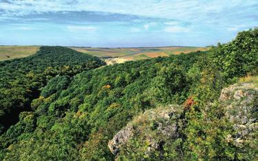 Prezentarea clusterului Drumul recifelor Potențialul turistic al florei și faunei Aproape 80% din teritoriul raionului Edineț este reprezentat de ecosistemele agricole, dintre care numai o parte mică