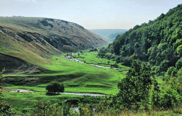 de Stat Edineţ (645,4 ha) și Primăria satului Gordineşti (100,8 ha).