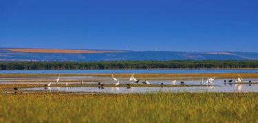 În timpul revărsărilor râului, acest bazin s-a umplut cu apă, luând astfel naștere lacul Manta. Lacurile de acest tip se numesc lacuri de luncă, având o lume vegetală și animală deosebită.