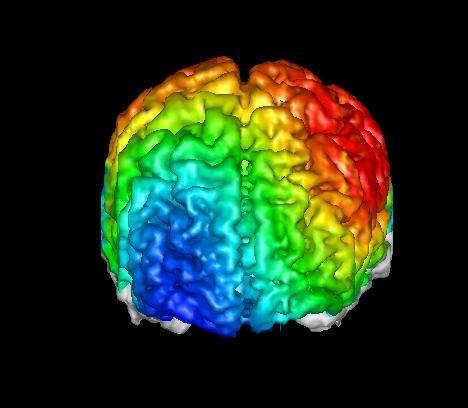 EEG + MRI